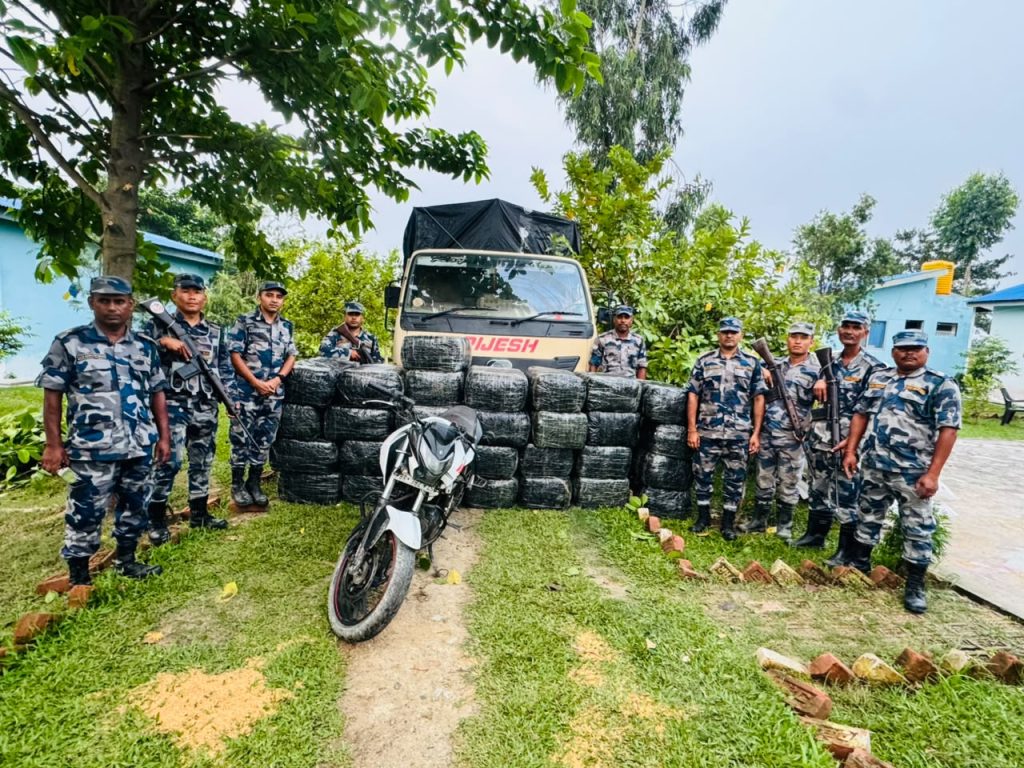 मोरङको जहदाबाट ९२२ केजी अवैध गाँजा बरामद, पिकअप र मोटरसाइकल नियन्त्रणमा 
